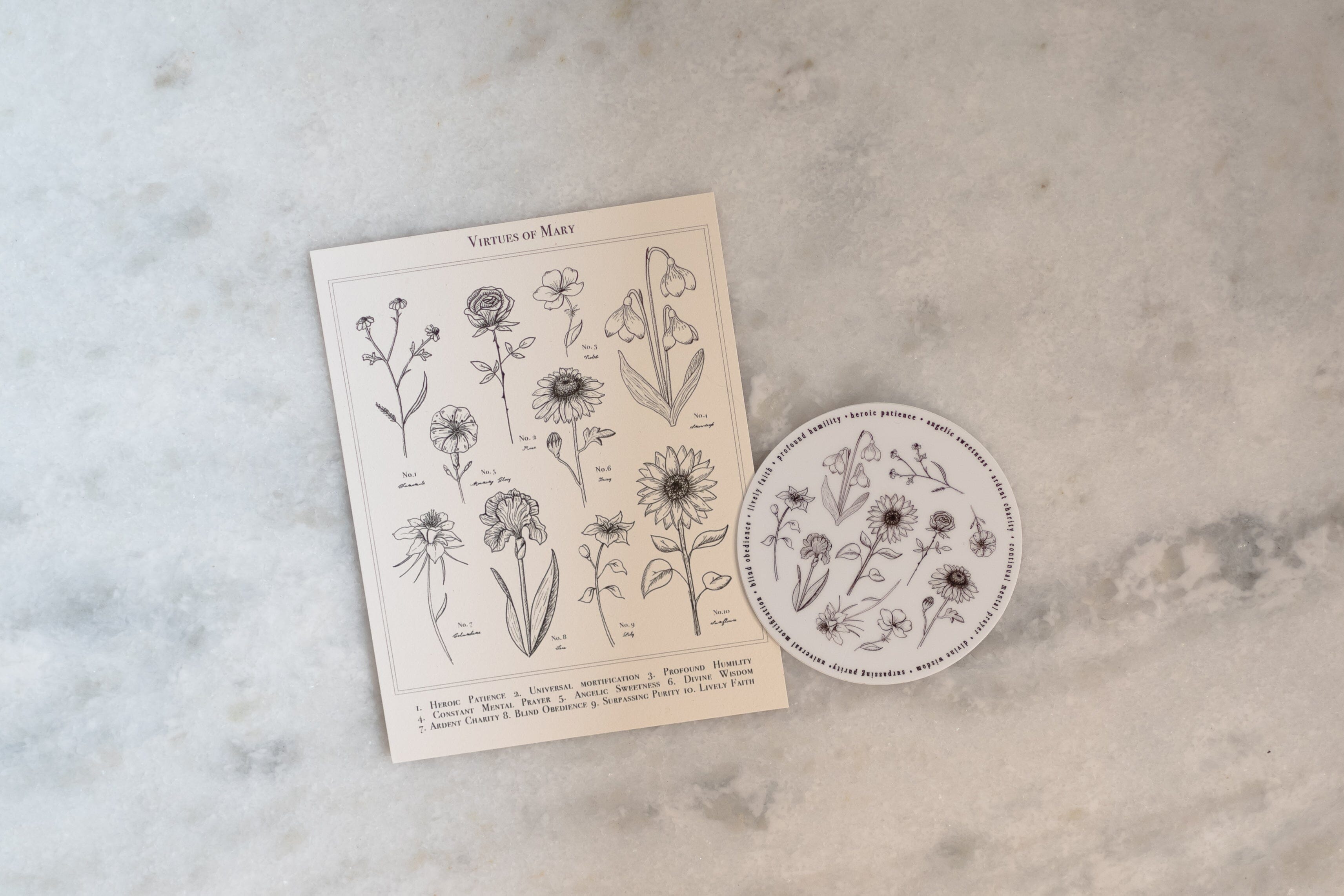 2024 Spring Box Scrubs Rooted For Good