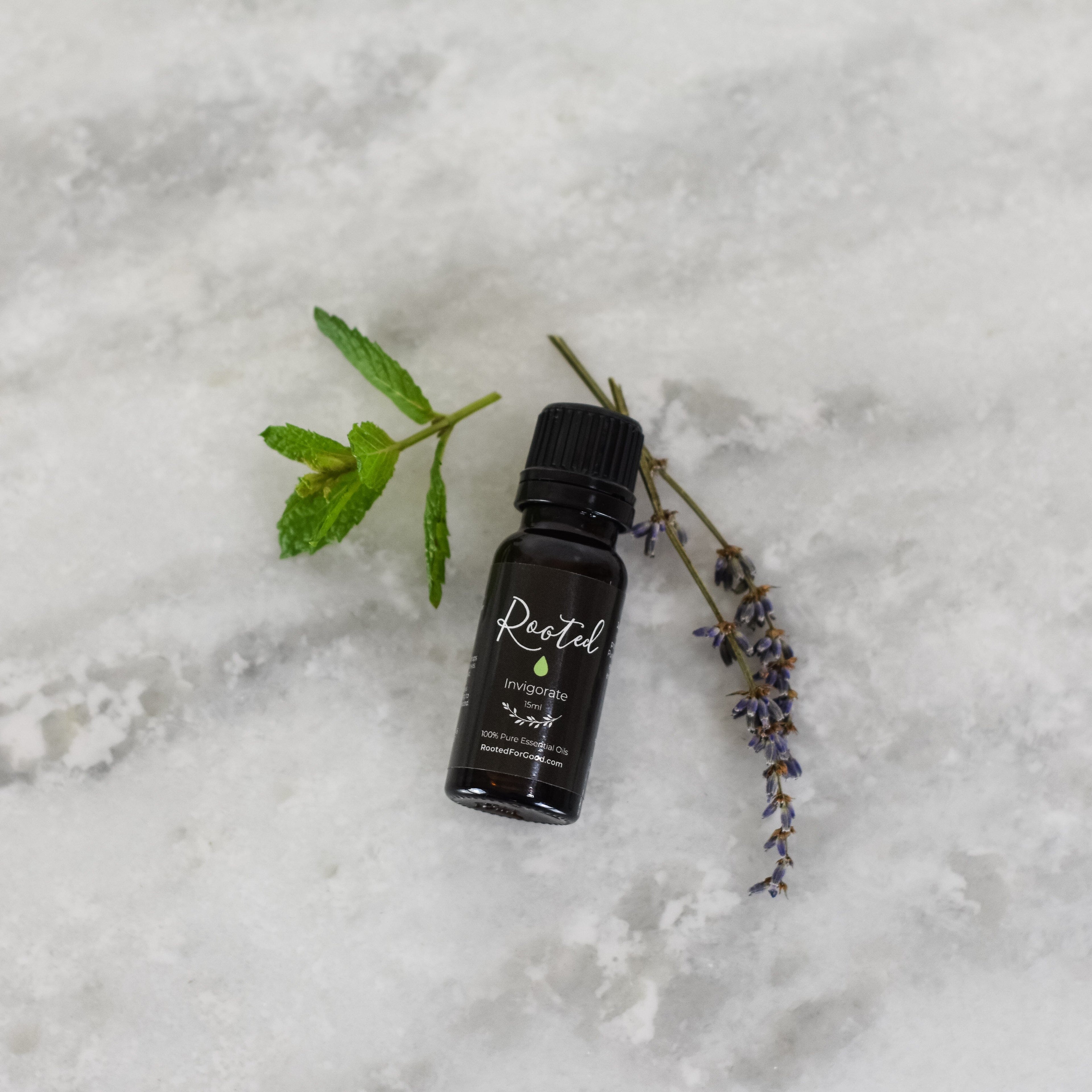 Blend Essential Oils Starter Kit Essential Oils Rooted For Good