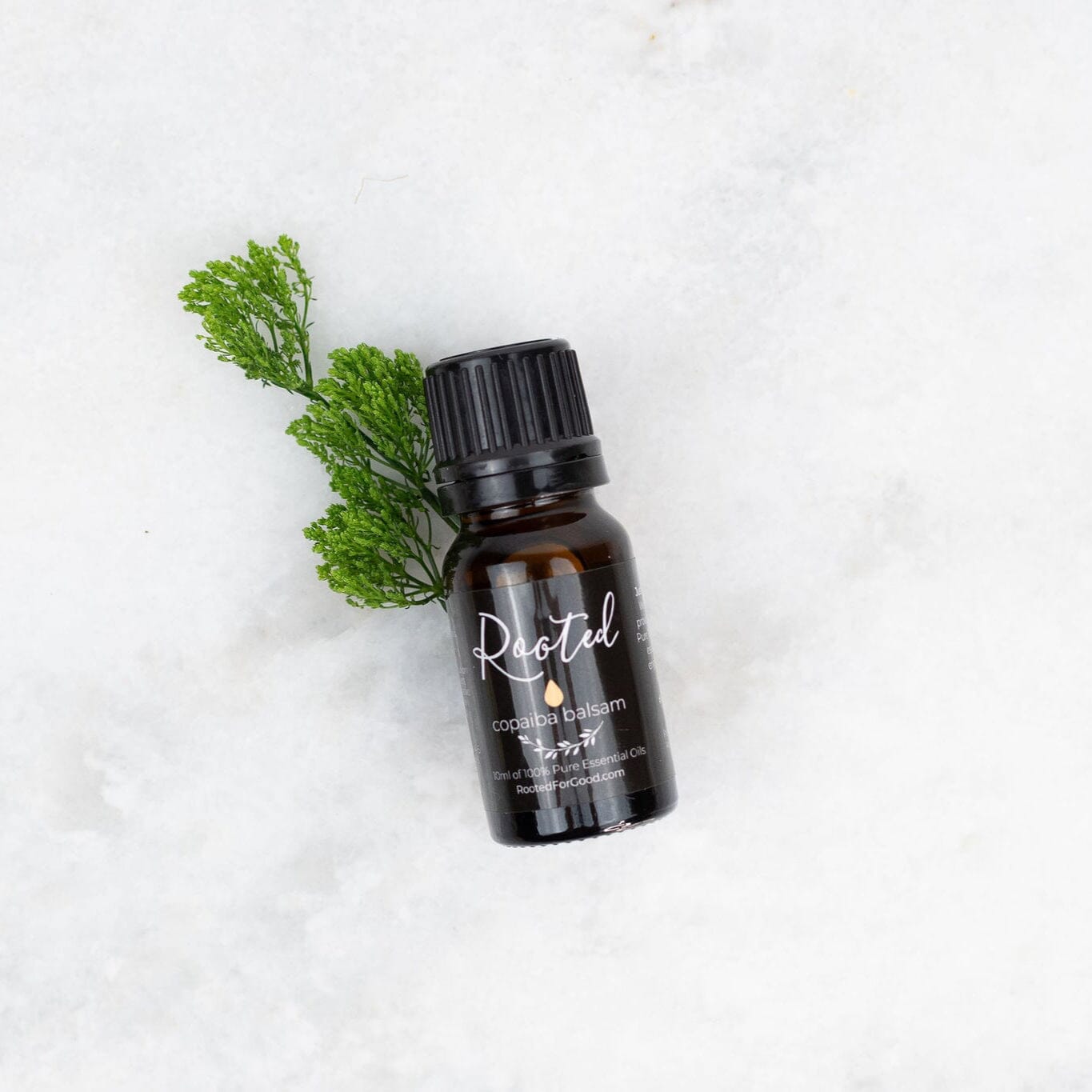 Copaiba Balsam Essential Oil π Bath & Body Rooted For Good
