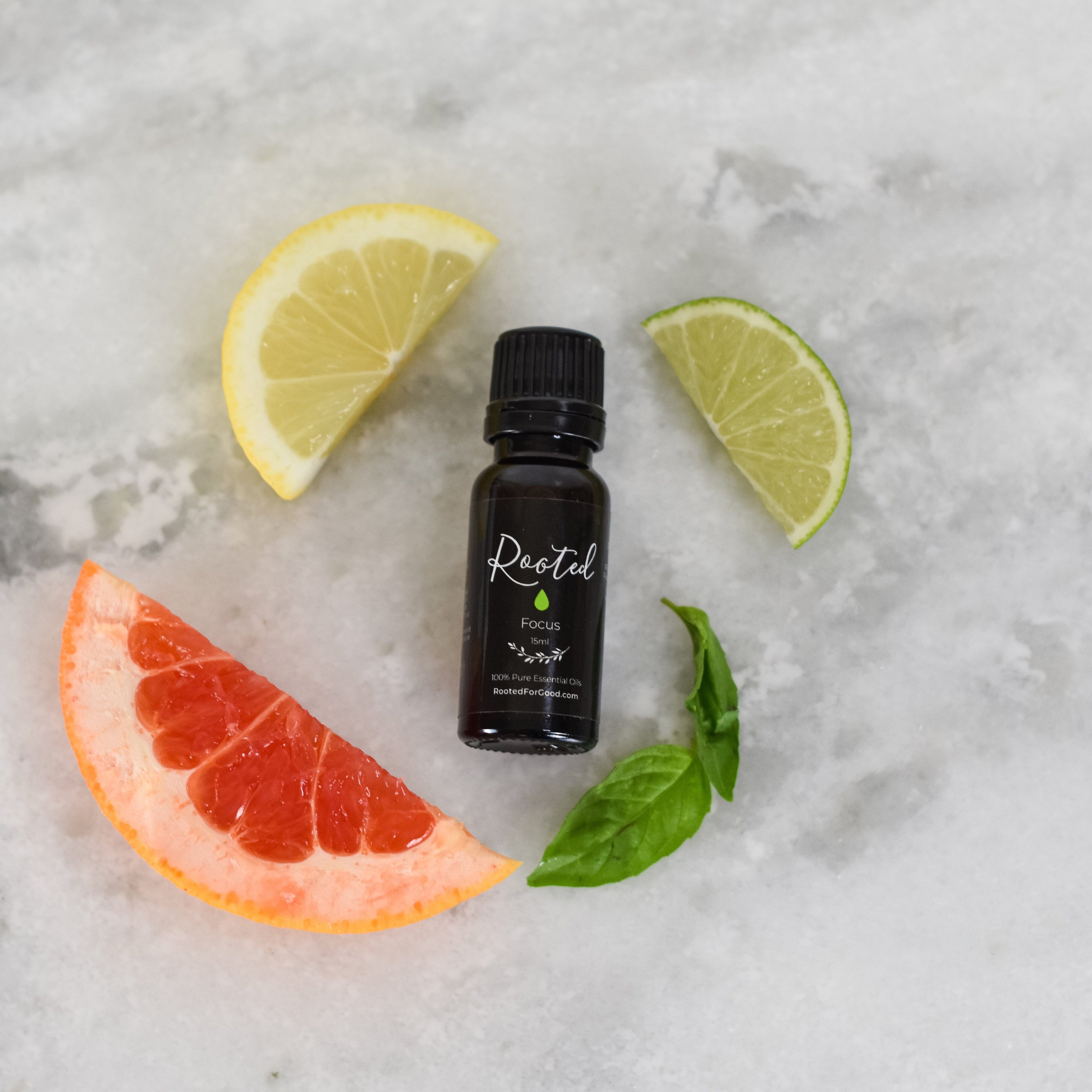 Focus Essential Oil Blend Body Oil Rooted For Good