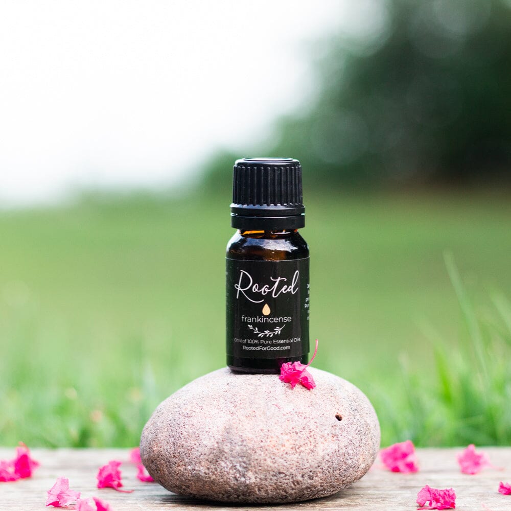 Frankincense Essential Oil Essential Oils Rooted For Good Skincare