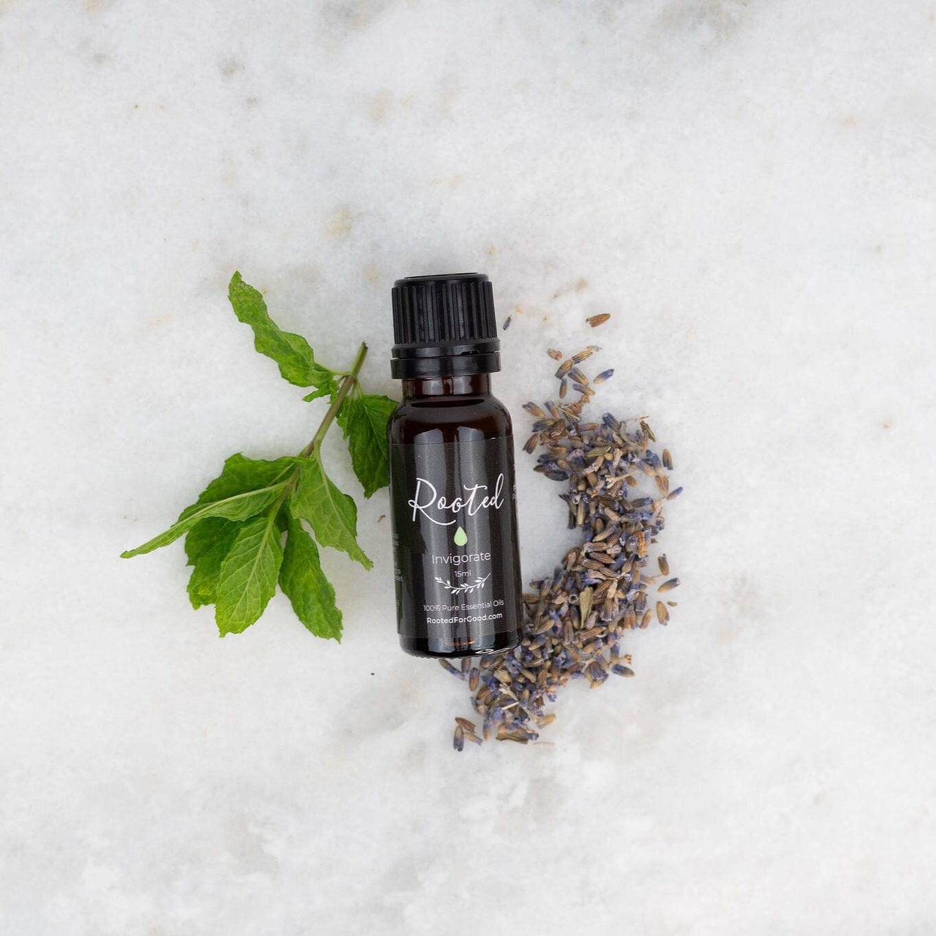 Invigorate Essential Oil Blend 🍃 - Rooted For Good