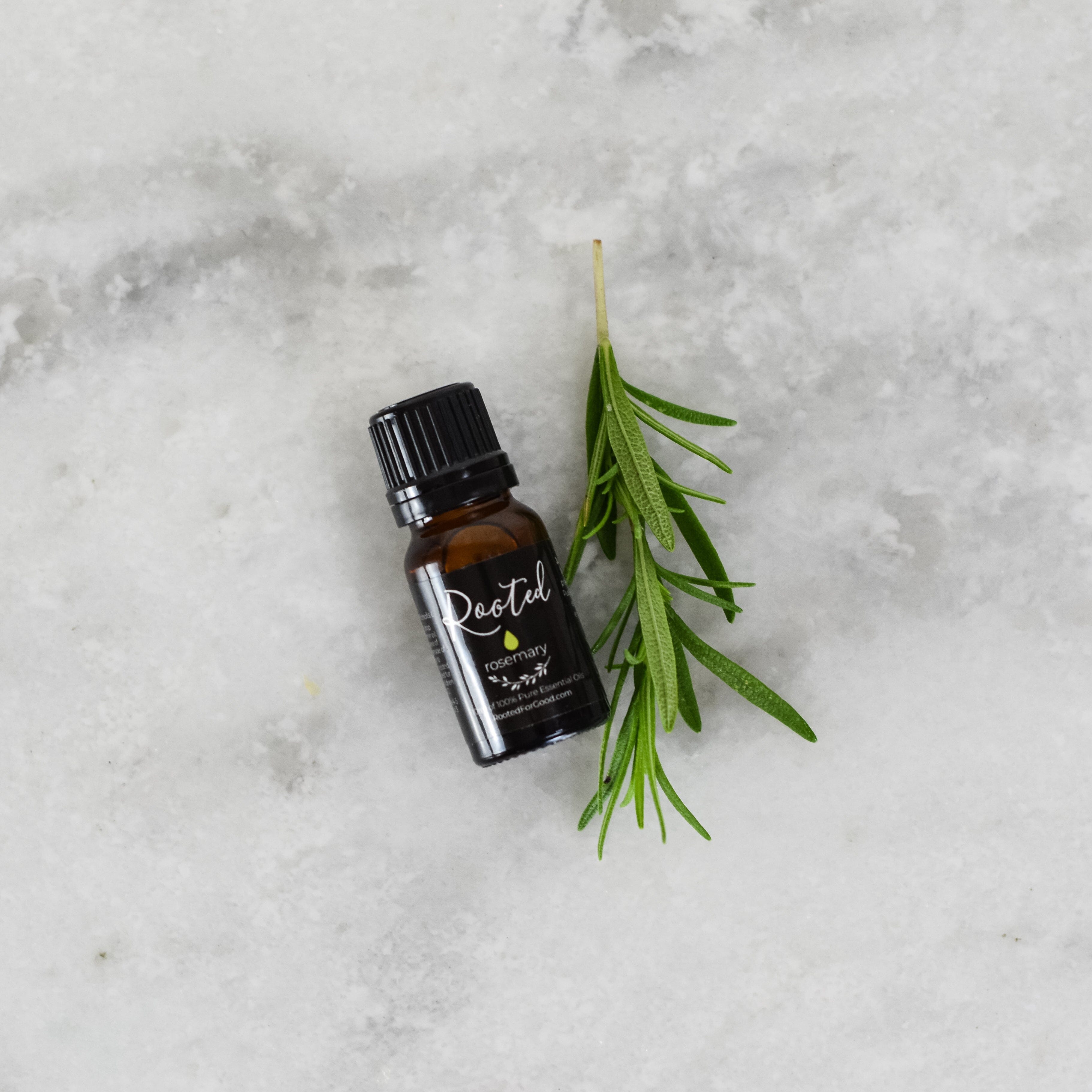 Rosemary Essential Oil Fragrance Oil Rooted For Good