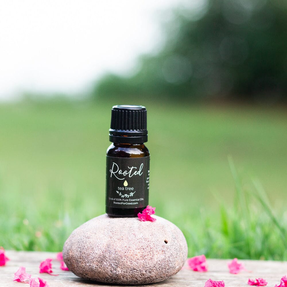 Tea Tree Essential Oil Essential Oils Rooted For Good Skincare
