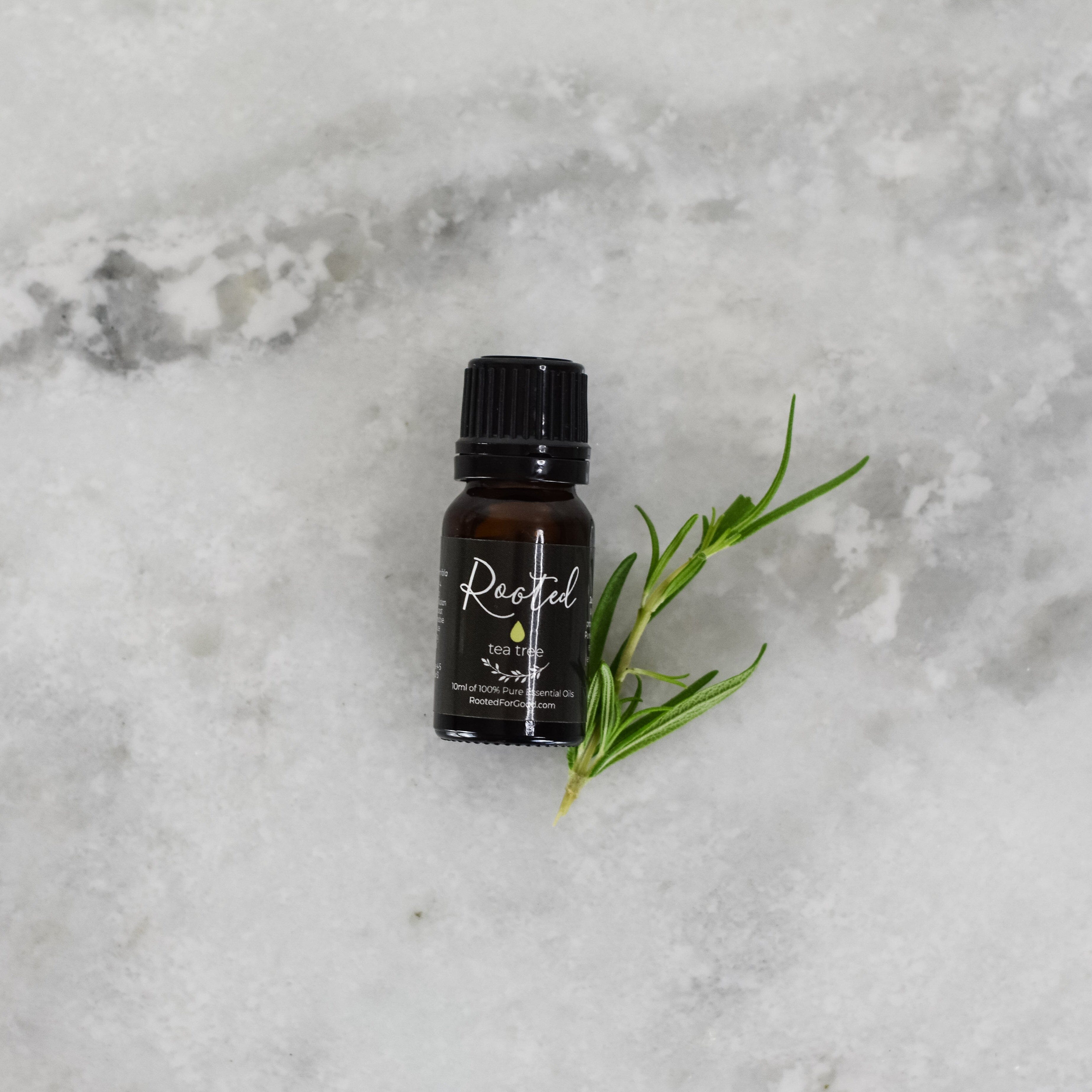 Tea Tree Essential Oil Essential Oils Rooted For Good Skincare