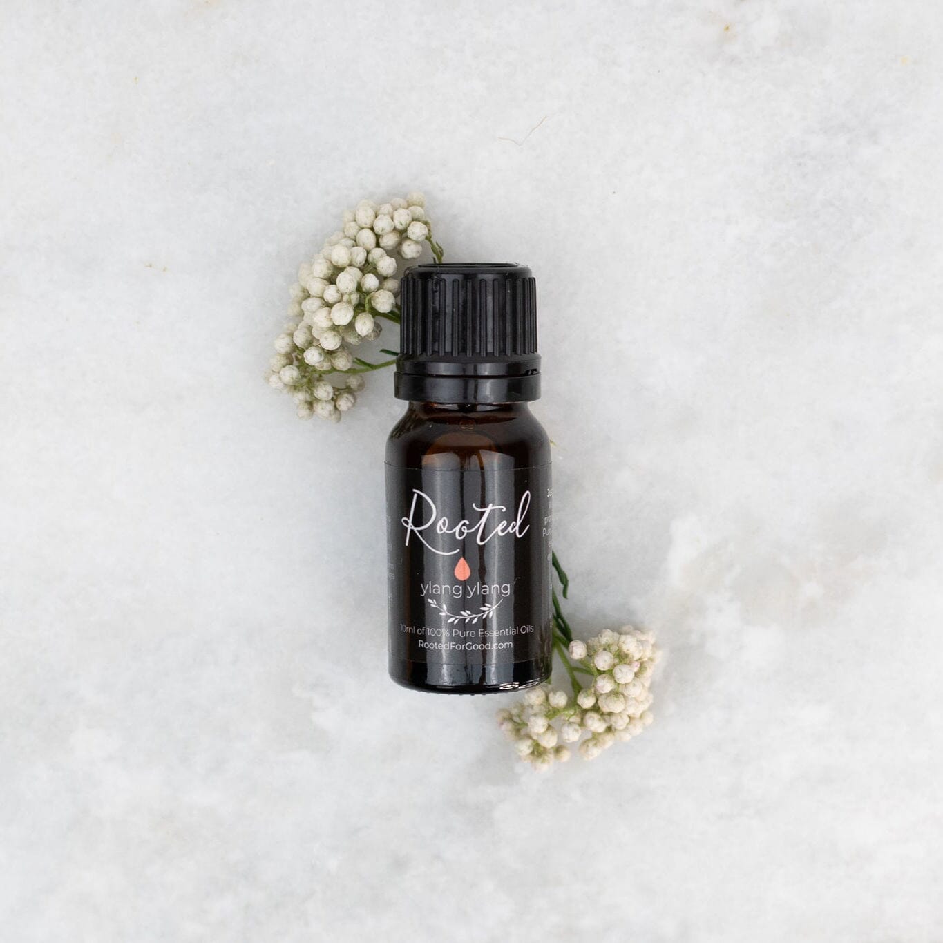 Ylang Ylang Essential Oil - Rooted For Good