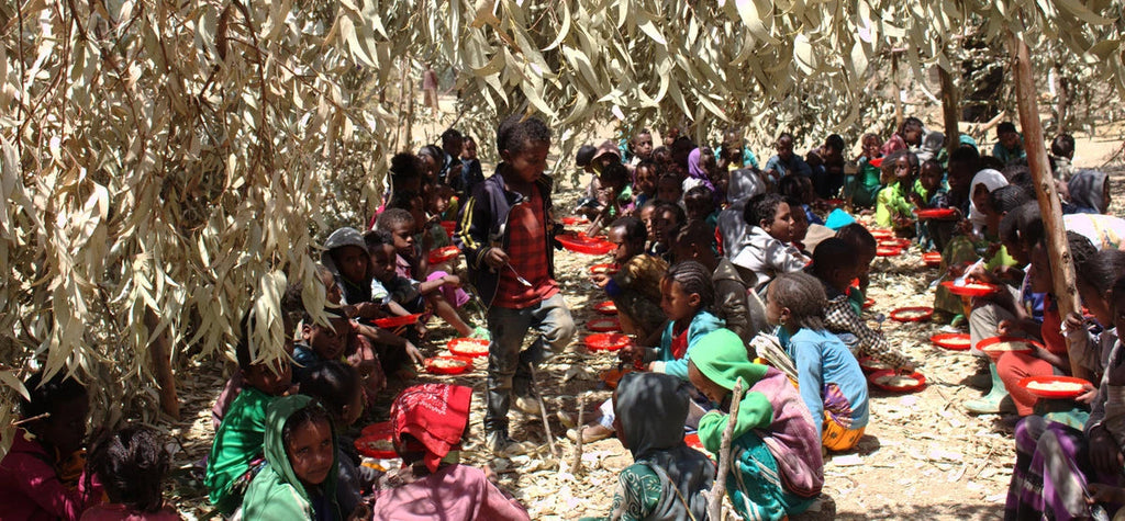 Crisis in Ethiopia and One Child’s Testimony