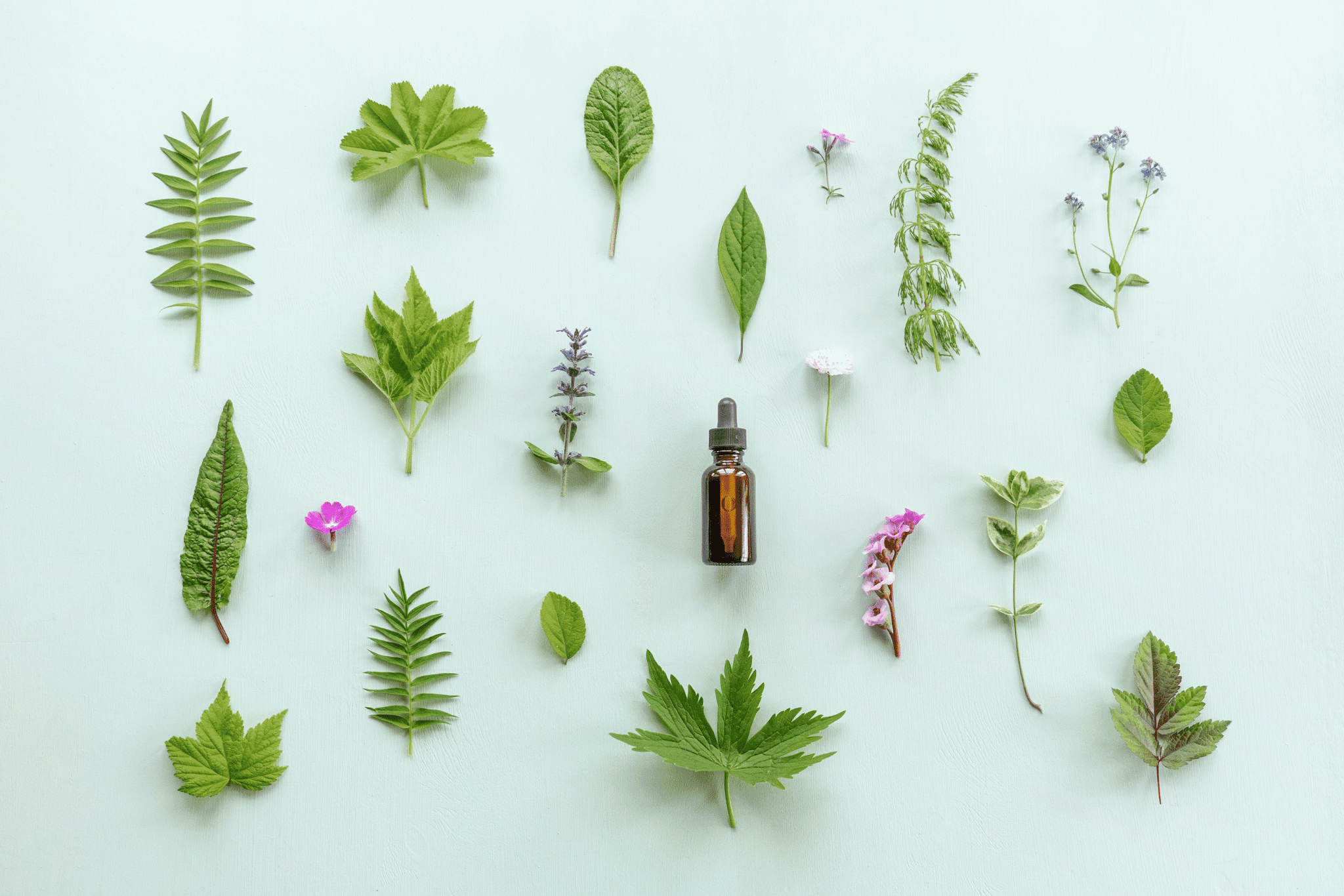 Essential Oil Gift Set Guide: Clean, Safe & Natural