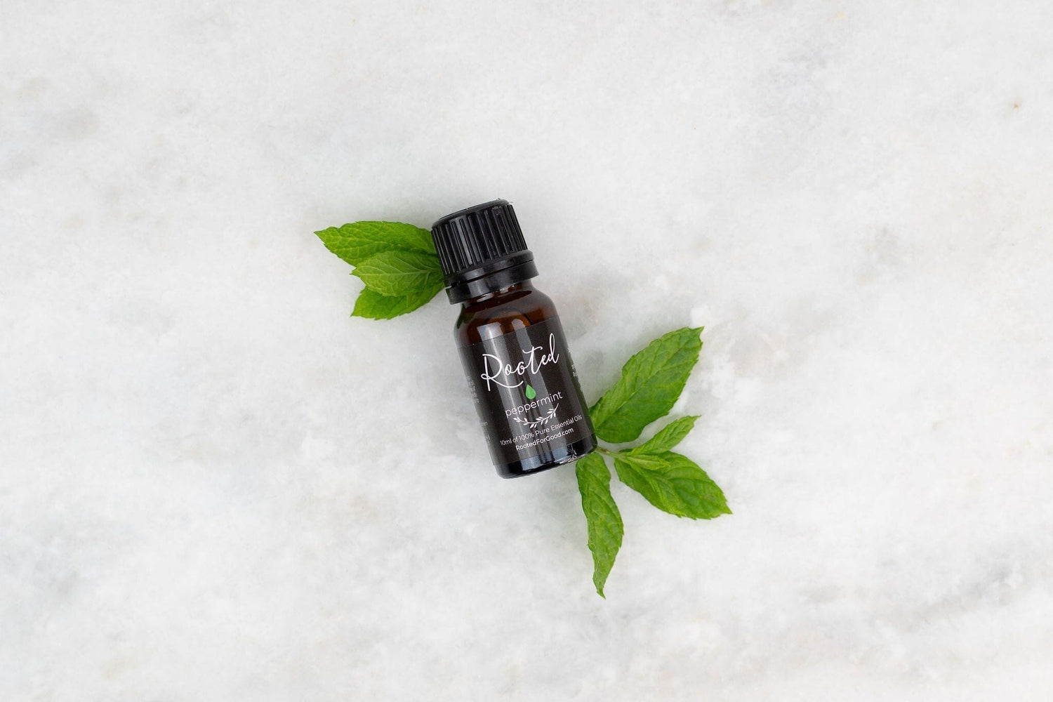Essential Oils for Ear Infection: An Honest Family Guide