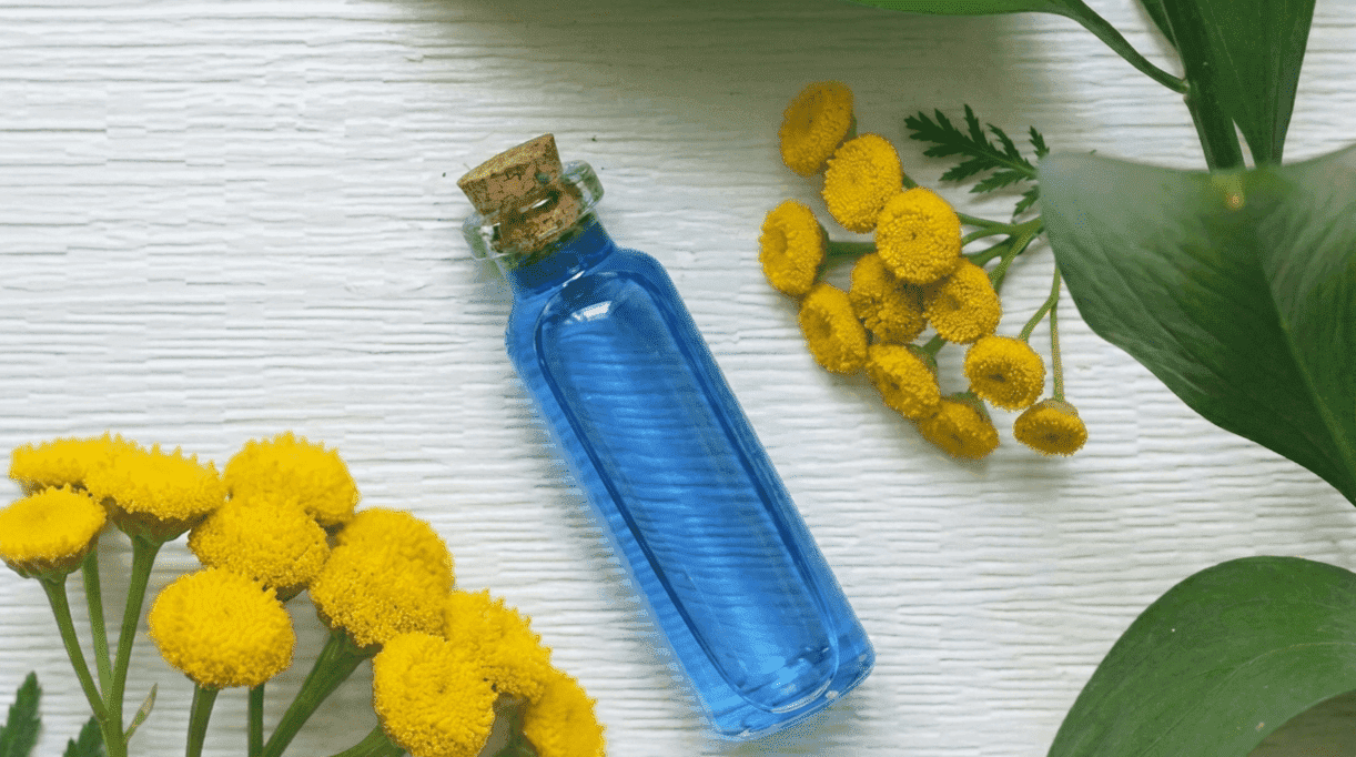 What Makes Blue Tansy So Powerful for Skin?