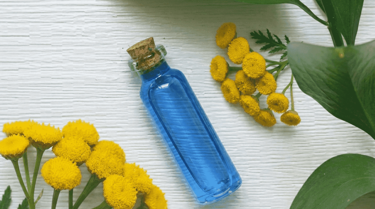 What Makes Blue Tansy So Powerful for Skin?