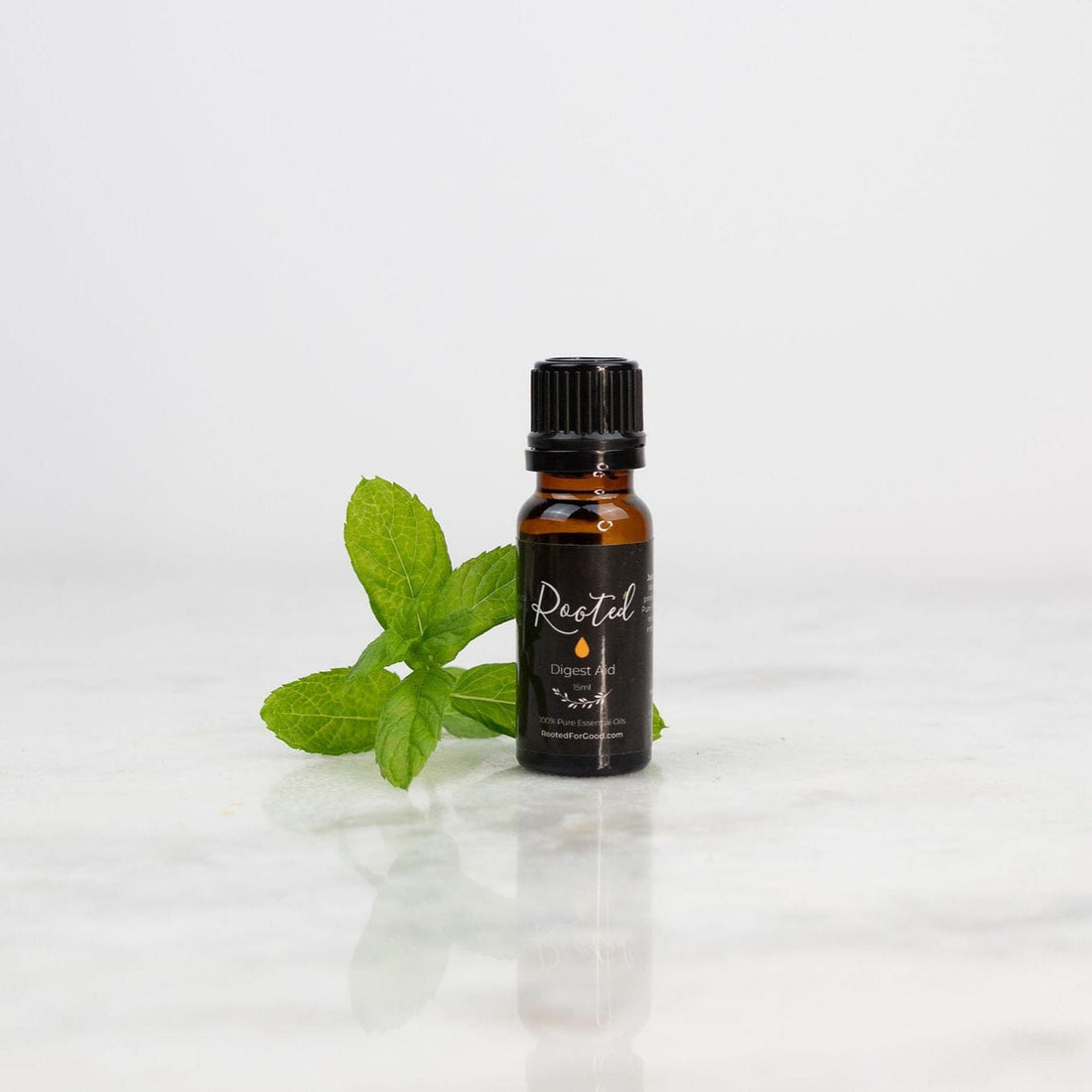 Blend Essential Oils Starter Kit 🍃 - Rooted For Good