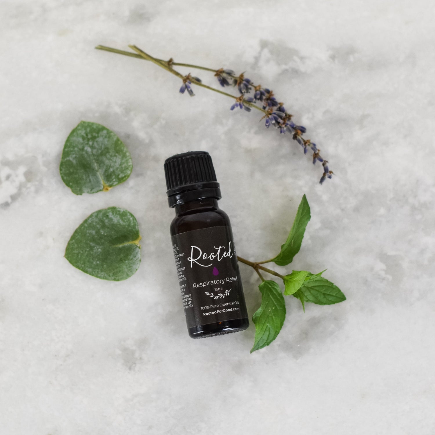 Blend Essential Oils Starter Kit 🍃 Essential Oils Rooted For Good 