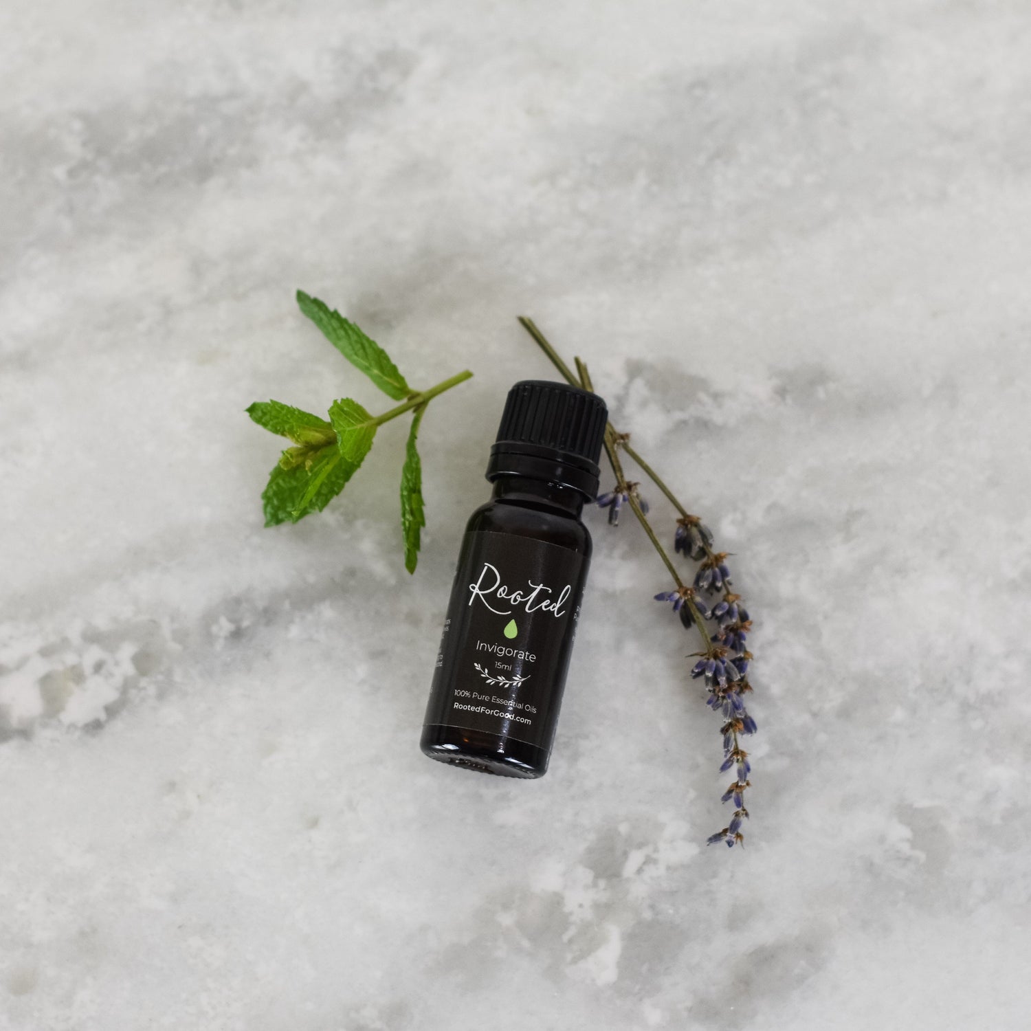 Blend Essential Oils Starter Kit Essential Oils Rooted For Good 