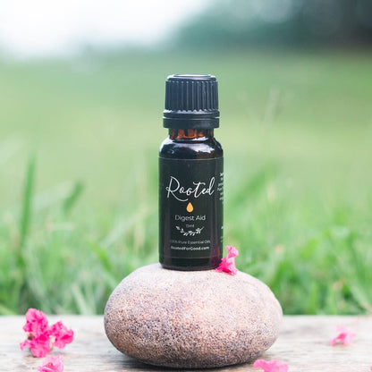 Blend Essential Oils Starter Kit 🍃 Essential Oils Rooted For Good 