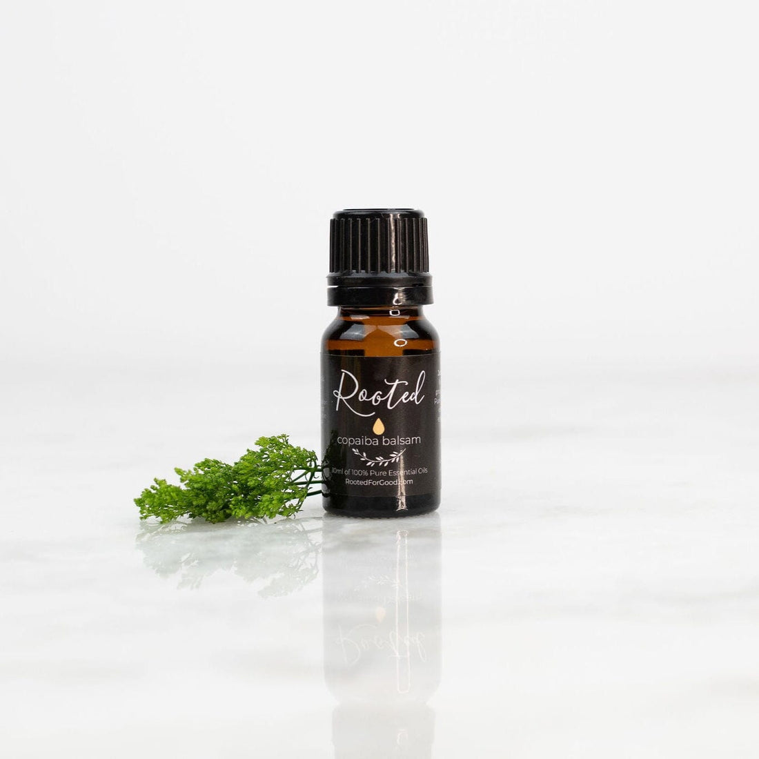 Copaiba Balsam Essential Oil - Rooted For Good