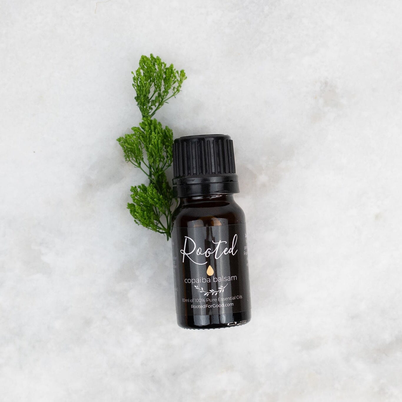 Copaiba Balsam Essential Oil - Rooted For Good