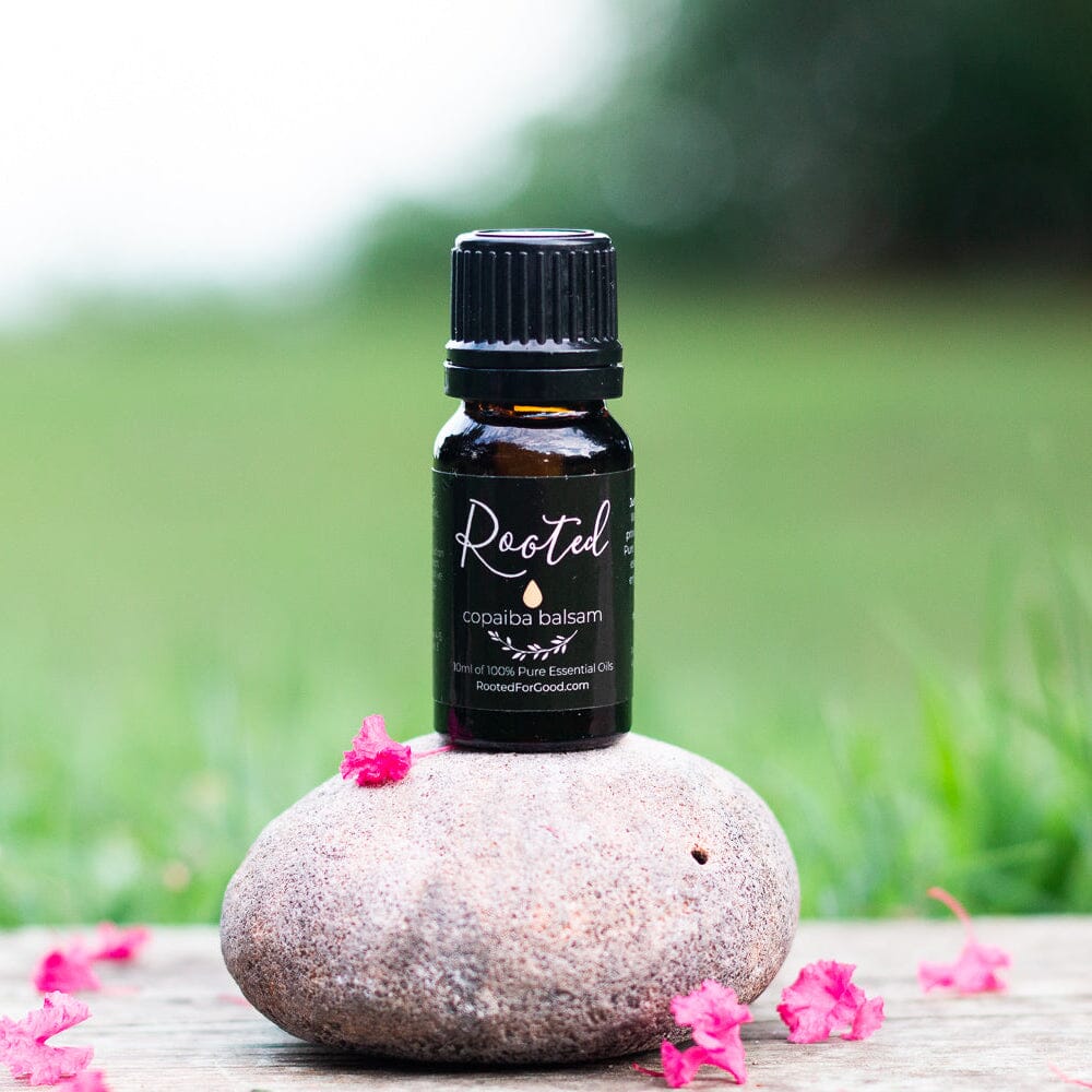 Copaiba Balsam Essential Oil Bath &amp; Body Rooted For Good 