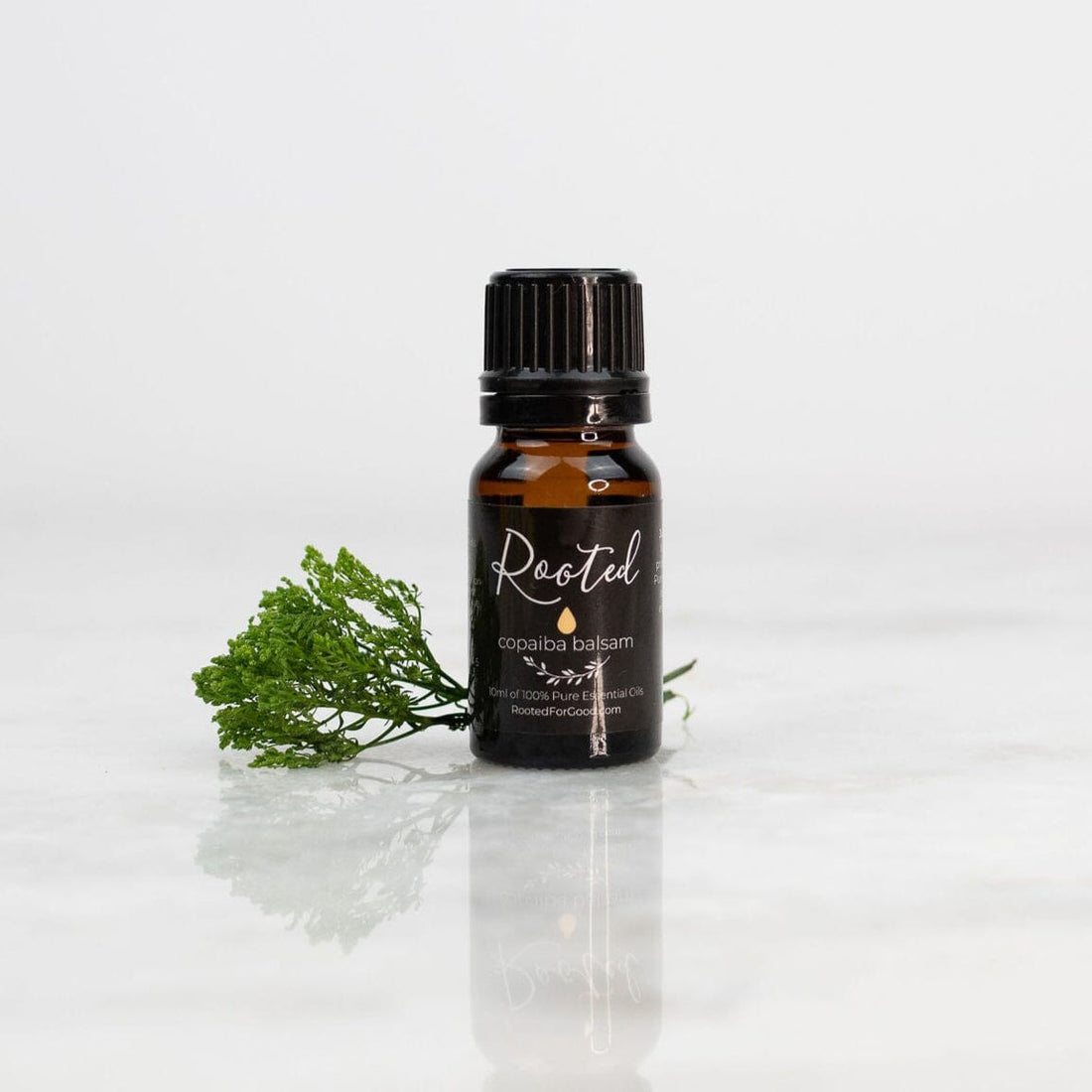 Copaiba Balsam Essential Oil 🍃 Bath &amp; Body Rooted For Good 