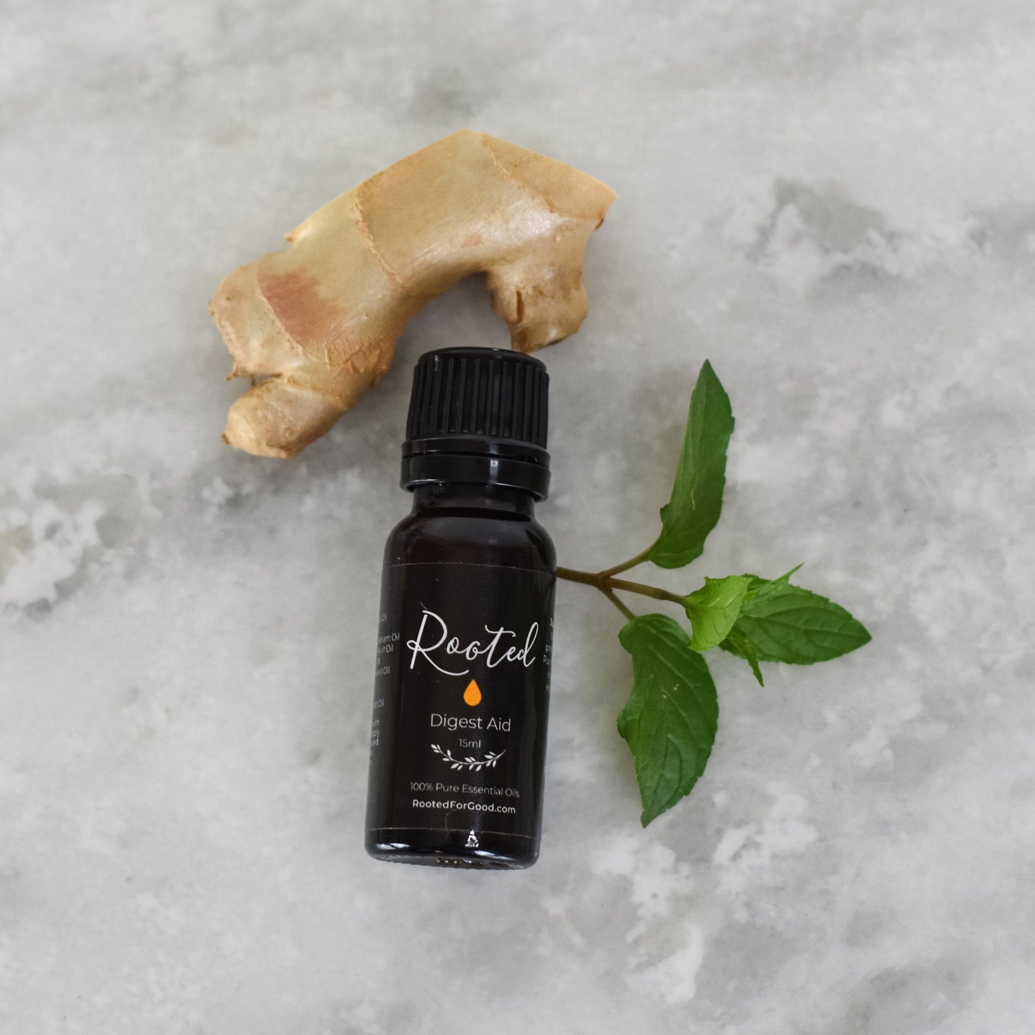 Digest Aid Essential Oil Blend 🍃 Essential Oils Rooted For Good 