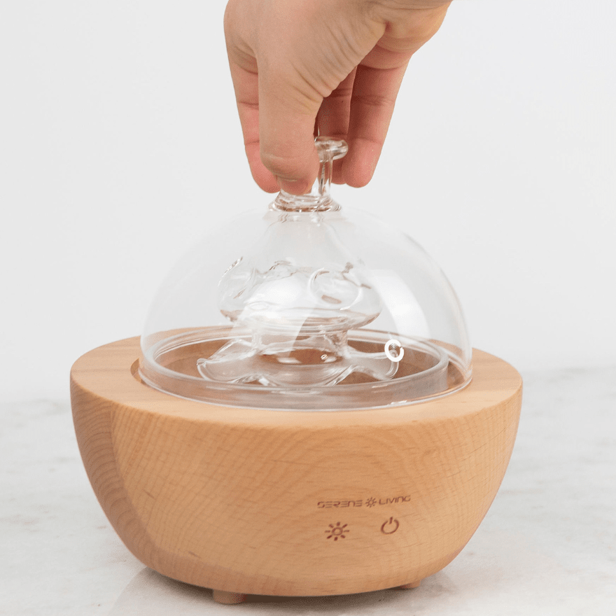 Glass Fountain Diffuser - Rooted For Good