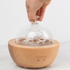 Glass Fountain Diffuser - Rooted For Good