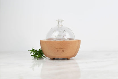 Glass Fountain Diffuser Essential Oils Rooted For Good 