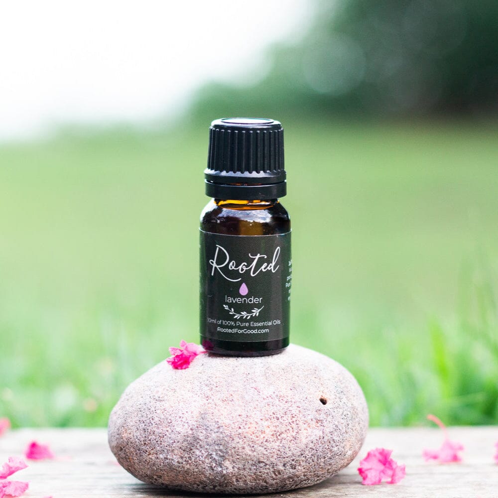Lavender Essential Oil 🍃 - Rooted For Good