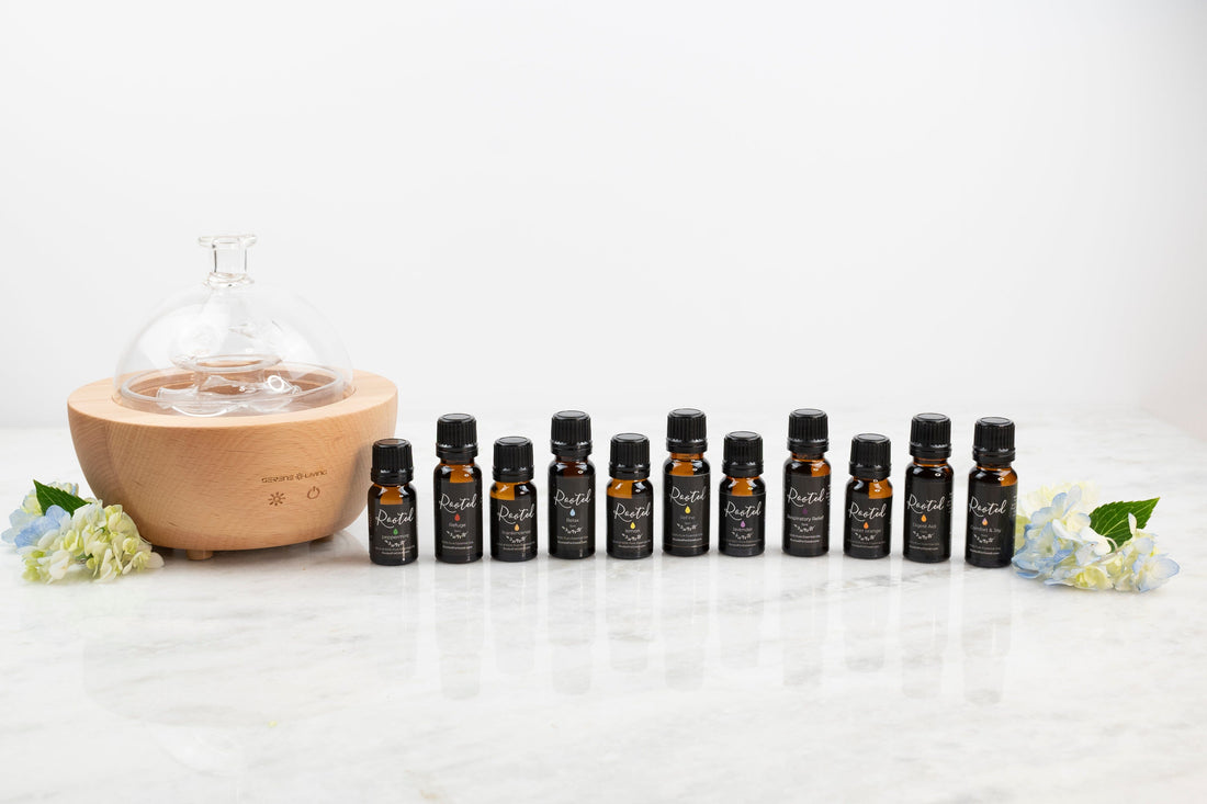 M&amp;H Premium EO Kit + Glass Diffuser Essential Oils Bundle Rooted For Good 