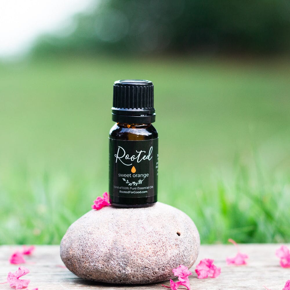 Sweet Orange Essential Oil Essential Oils Rooted For Good Skincare 
