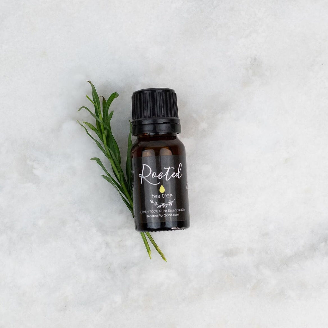 Tea Tree Essential Oil 🍃 - Rooted For Good