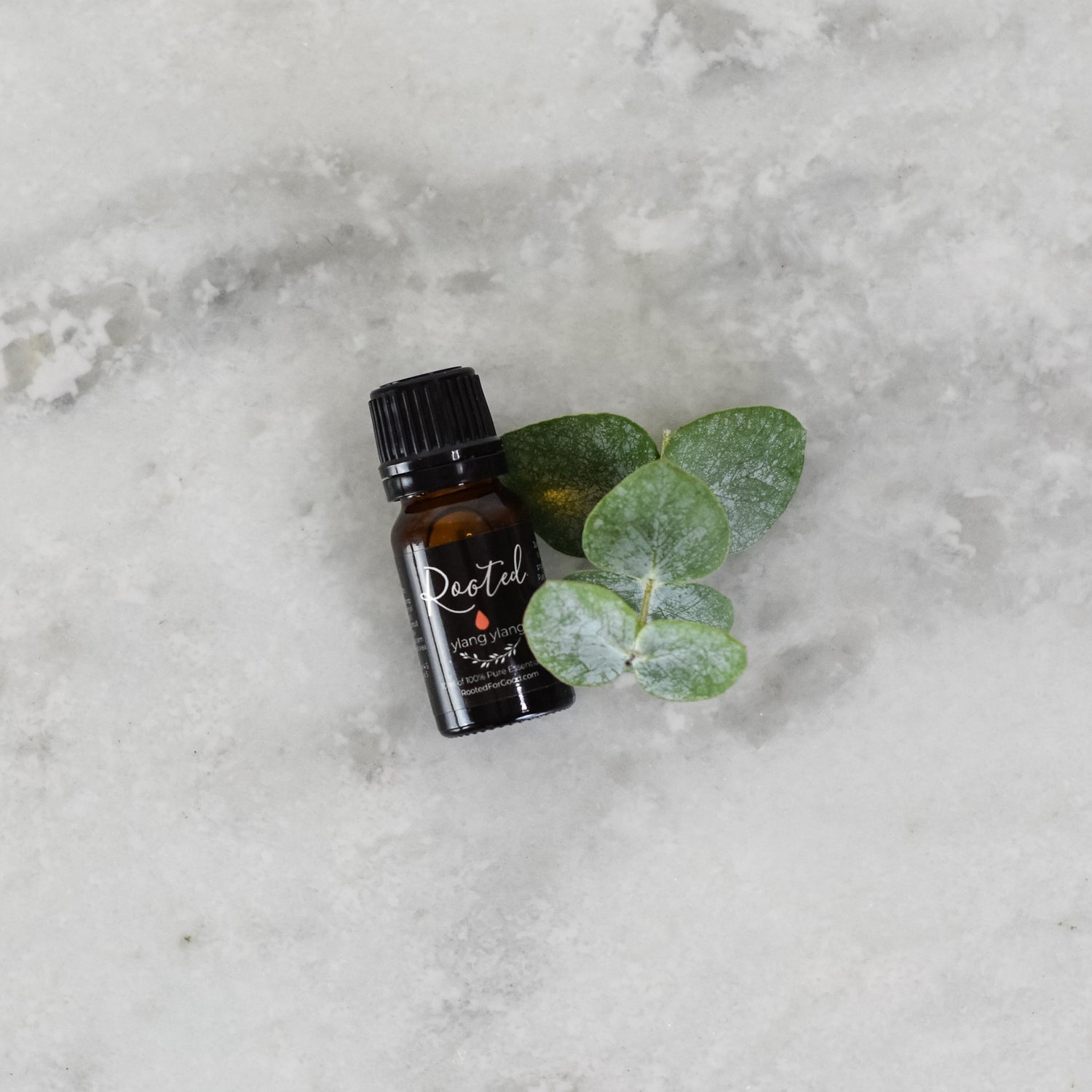 Ylang Ylang Essential Oil Fragrance Oil Rooted For Good 