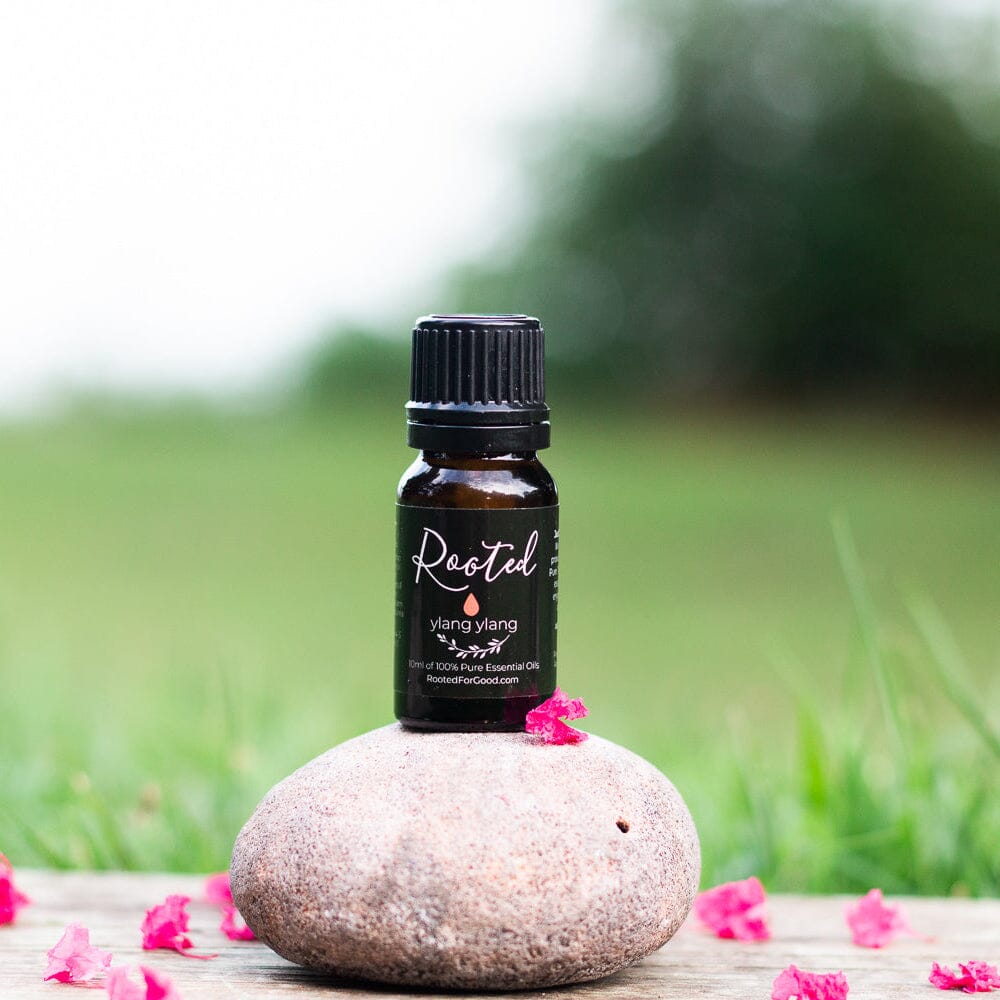 Ylang Ylang Essential Oil Fragrance Oil Rooted For Good 