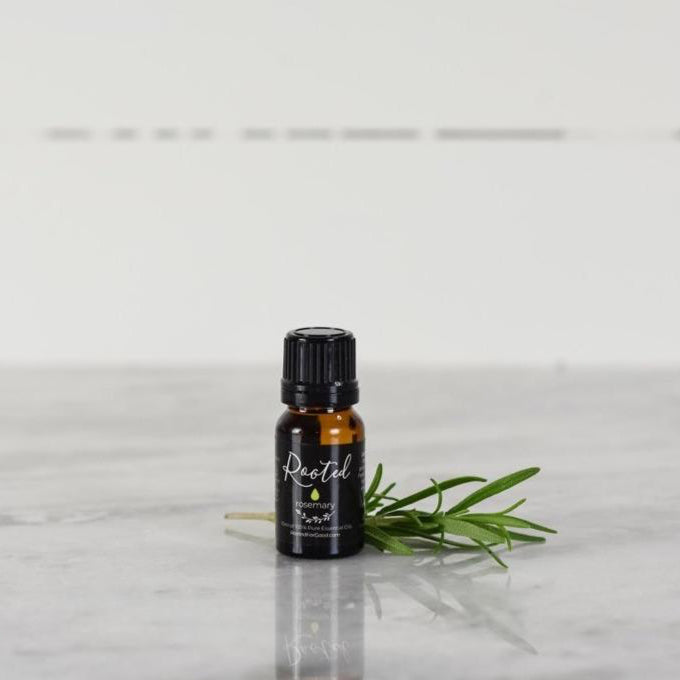 Rosemary Rooted For Good 
