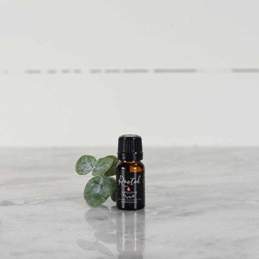 Ylang Ylang Rooted For Good 